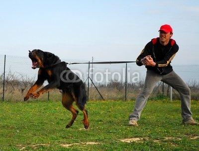400_F_2650703_VGm1kU0NOuIIpg4RxLMNtGmftGmABh.jpg