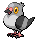 519.gif