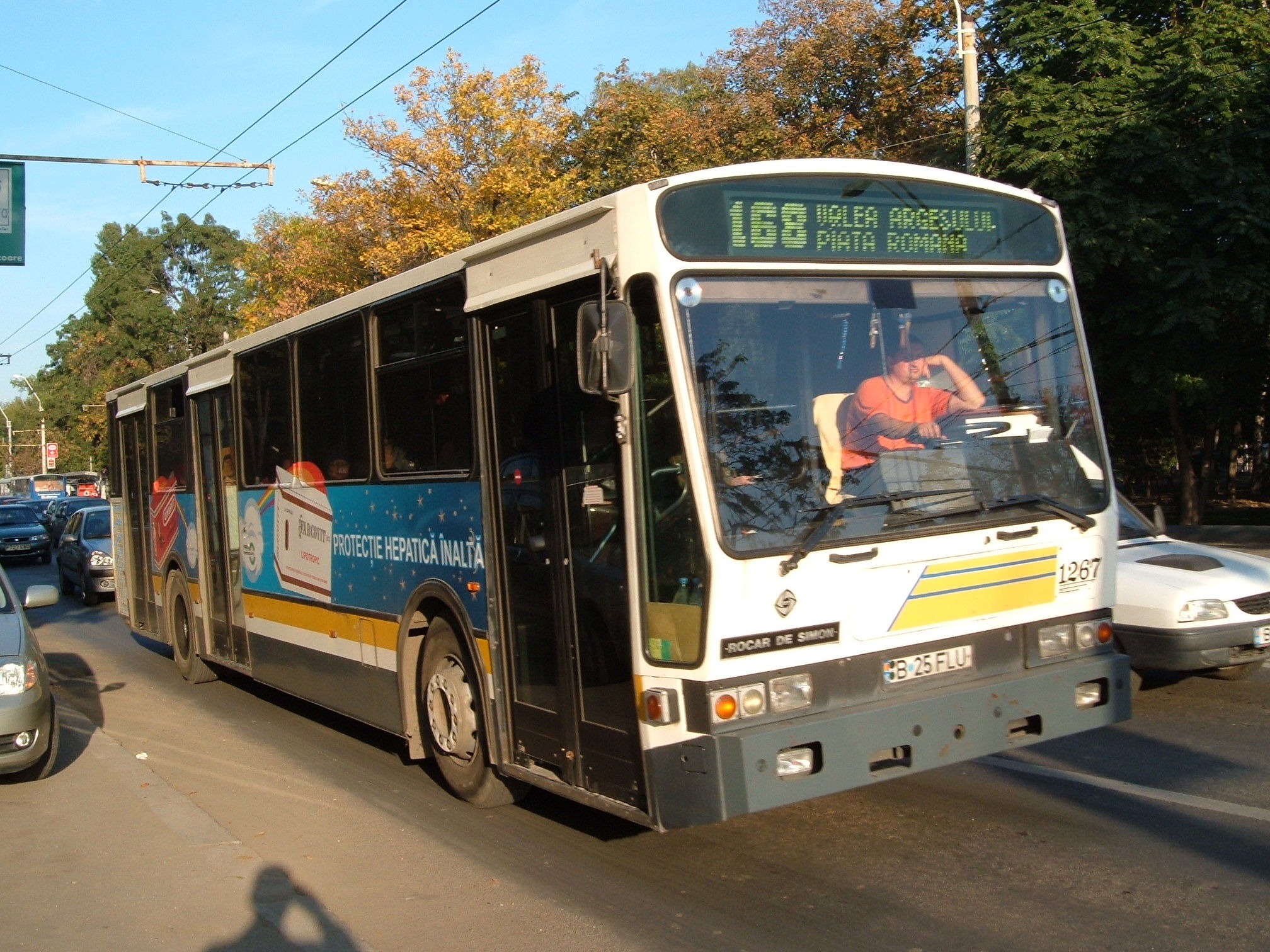 1267-168:1.jpg