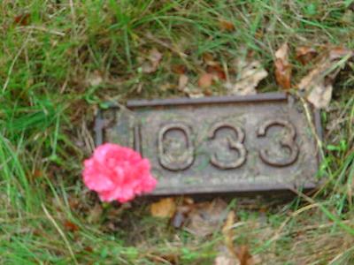 1033+flower.jpg