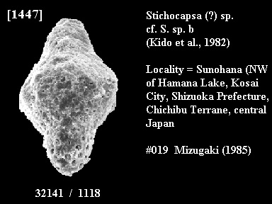 B1447.jpg