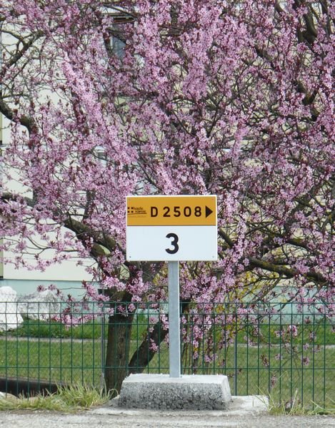 D2508.jpg