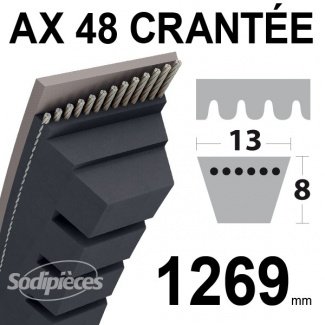 courroie-ax48-trapezoidale-crantee-13-mm-x-1269-mm.jpg
