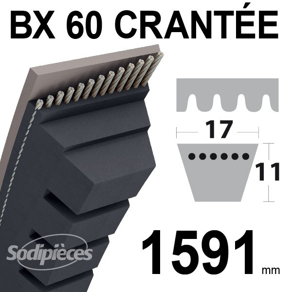 courroie-bx60-trapezoidale-crantee-17-mm-x-1591-mm.jpg