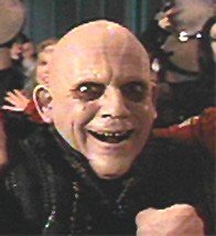 fester1.jpg
