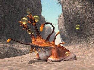 final-fantasy-xi-online-les-guerriers-de-la-deesse-playstation-2-ps2-008_m.jpg