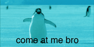 fight penguin GIF