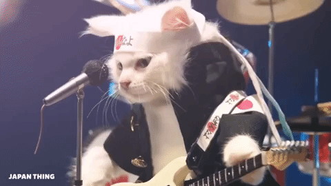japan cats GIF