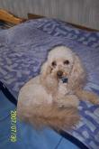 mini_650360100_0002.jpg