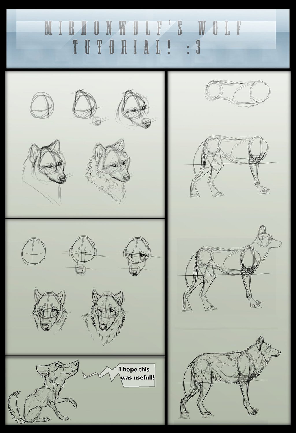 mirdonwolf__s_wolf_tutorial_by_mirdonwolf-d4lzq07.jpg