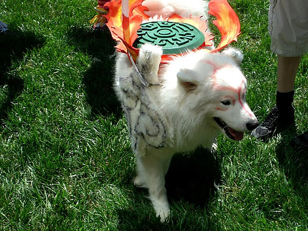 okami_amaterasu_dog_cosplay_2.jpg