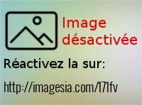 pexes-1-noir_imagesia-com_171fv_large.pn