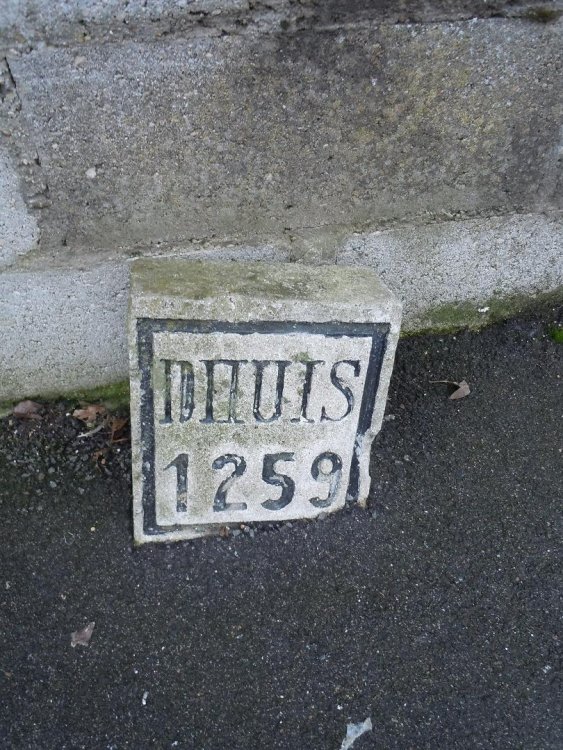ph1259.jpg