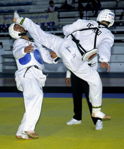 taekwondo2.jpg