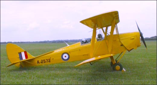 tigermoth_k2572_5.jpg