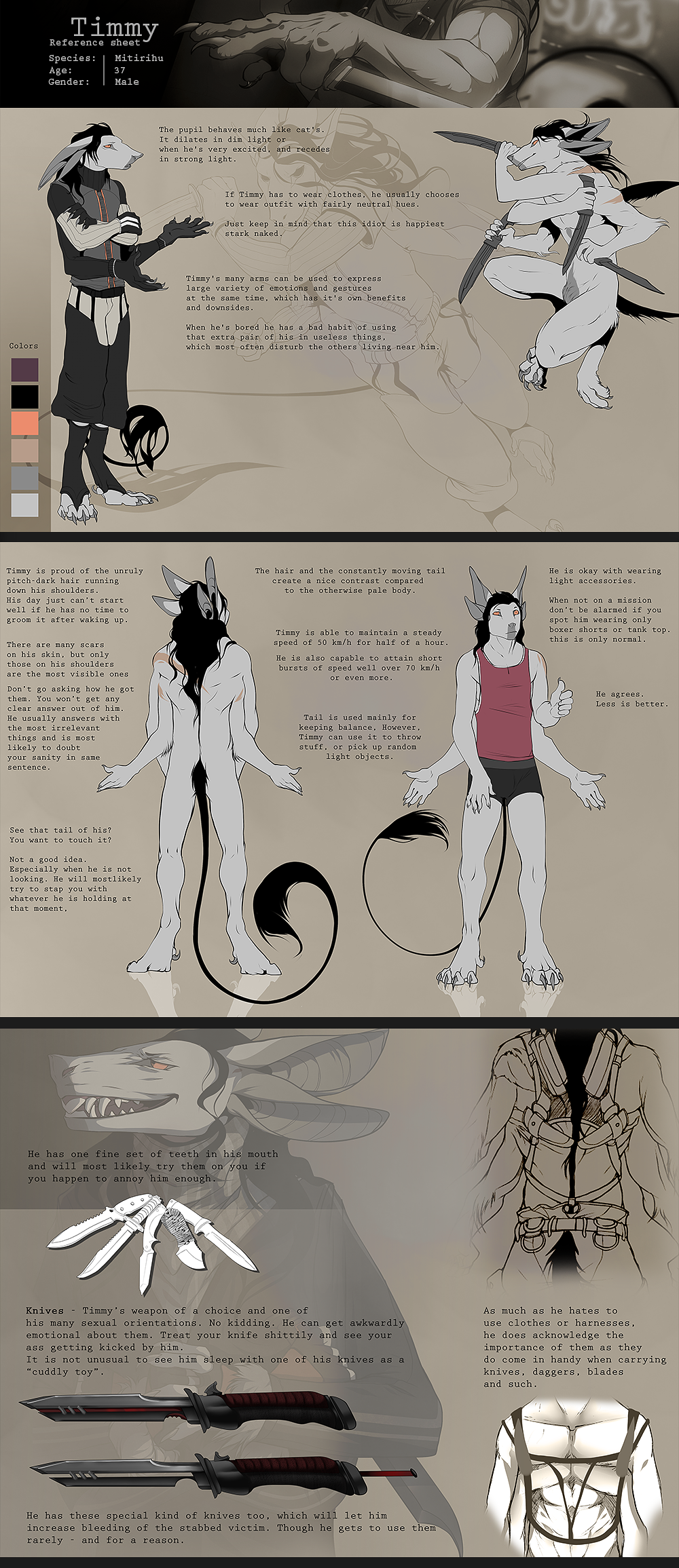 timmy___reference_sheet_by_grypwolf-d804