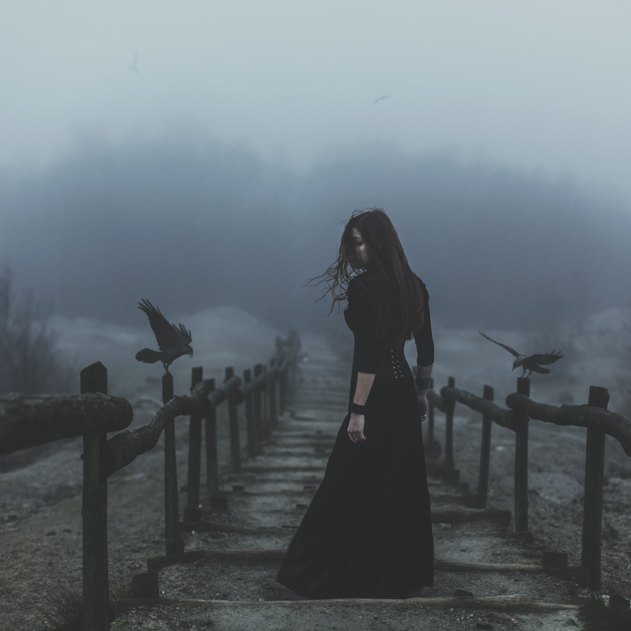 tumblr_my2ne7ay601rhv3rno1_1280.jpg