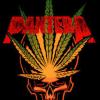PANTERAx