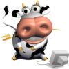 guizmeuh