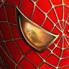 spiderobin