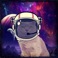 Galacticat