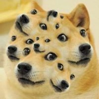 ioiozor