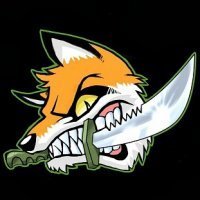 Masterfoxs