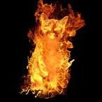 FireCat