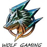 thewolfgaming44