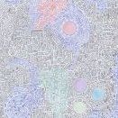Septicemix
