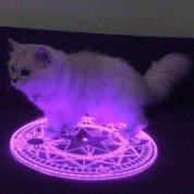 KuroaiRagnarok