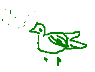 AarronDiimma.png