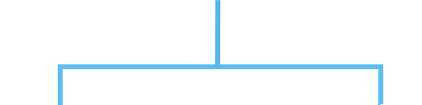 fin.png