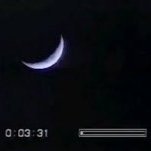 yungXfiles