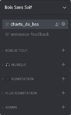 Discord serveur.png