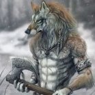 Wolfer45