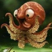ormhazd