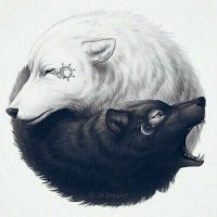 FoxMasterKuro