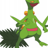 IggyKoopaStar