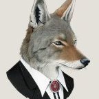 VieuxCoyyote