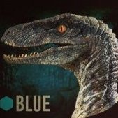 Whaltorex