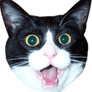 Pickett
