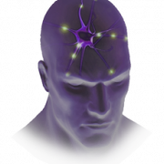 Polystoutech