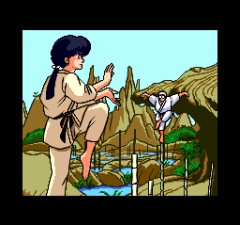 472767-ranma-1-2-turbografx-cd-screenshot-cut-scene-ranma-and-genma.png