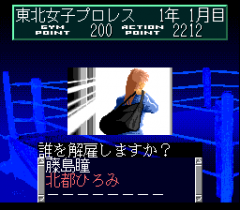 548479-wrestle-angels-double-impact-turbografx-cd-screenshot-you.png