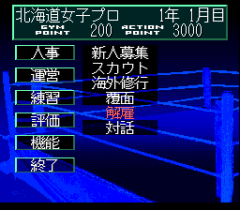 548488-wrestle-angels-double-impact-turbografx-cd-screenshot-management.png