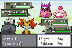 Pokemon_Kanto_Black_screen_03.png