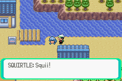 Squirtle-3.png