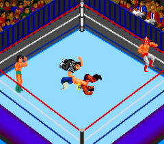 Fire Pro Wrestling 2nd Bout (J)-043.png