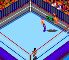 Fire Pro Wrestling Combination Tag (J)-008.png